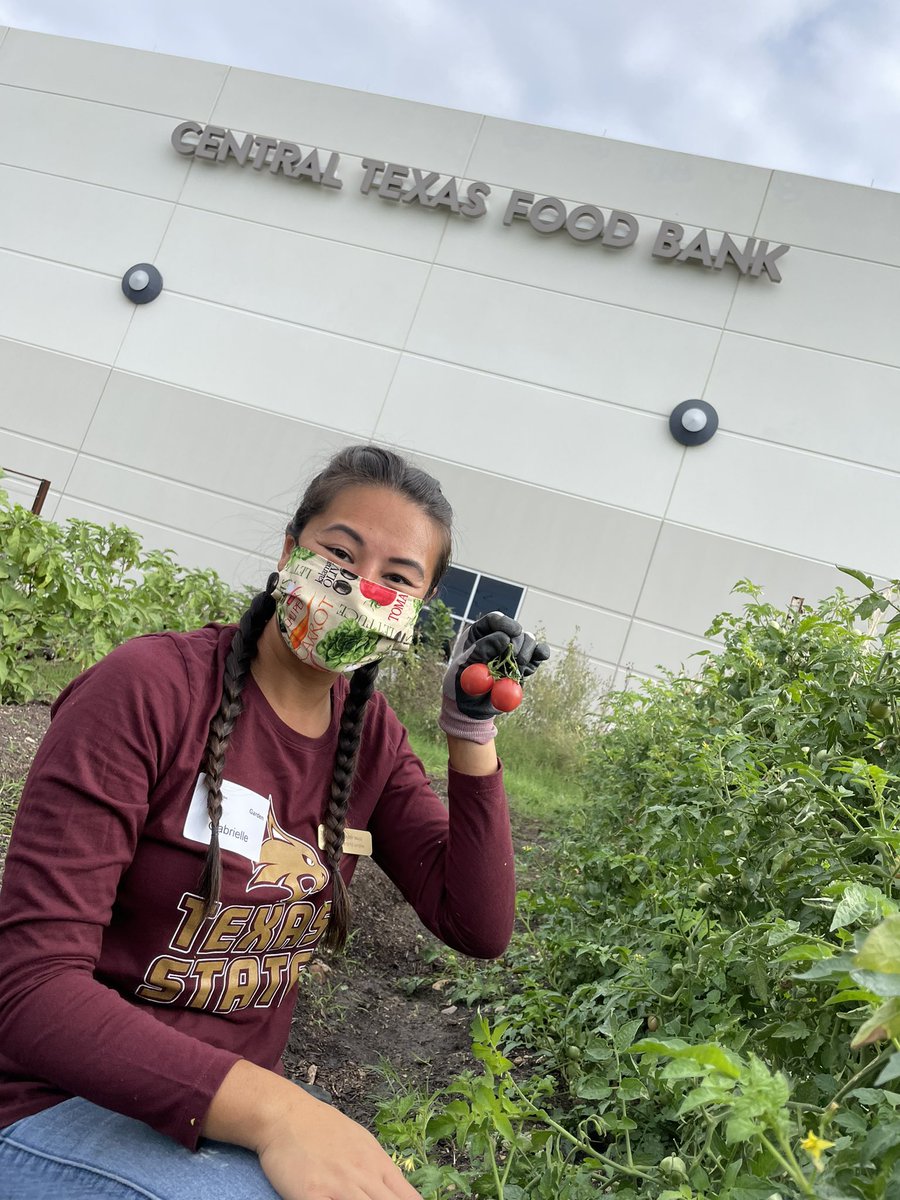 txstnutrition's tweet photo. 🚨DIETETIC INTERN SPOTLIGHT🚨

This is Gabby Magi, a Dietetic Intern during her rotation through the Central Texas Food Bank. On this day they worked in the community garden handpicking green beans, tomatoes, and radishes! They were able to fill 10 crates total. https://t.co/6eR5dGiFNi