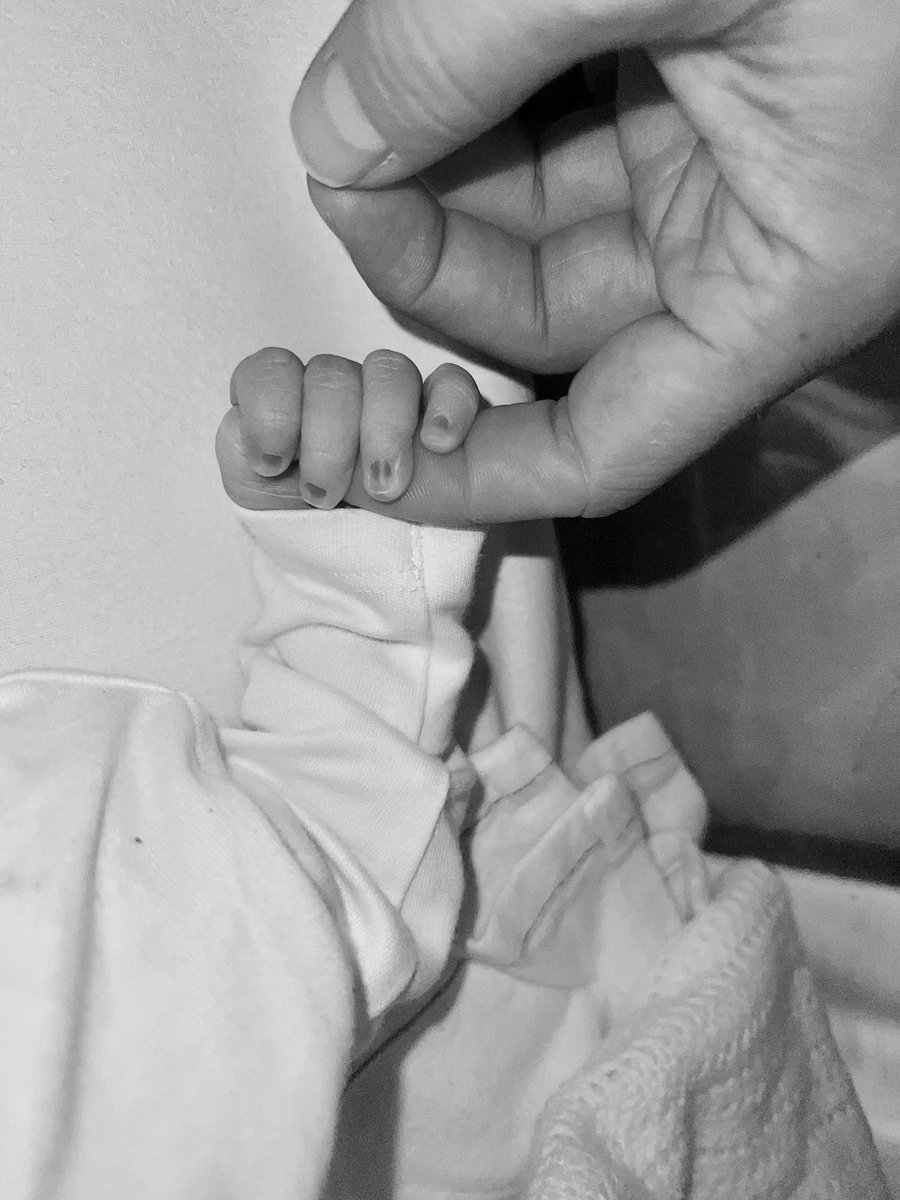 Jack Downey tweet media