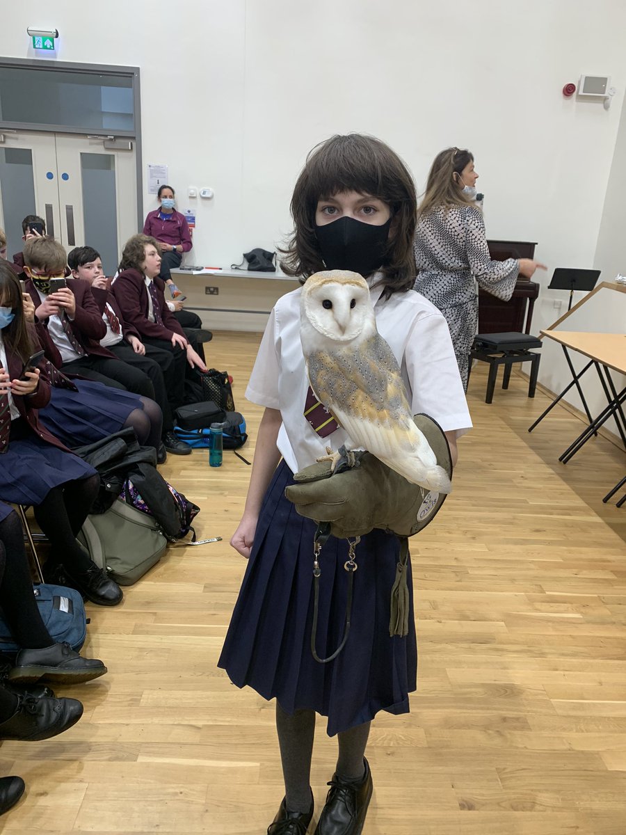 🦉 Year 8 pupils @foyle_college enjoying The World of Owls educational experience today🦉 Thank You Mike @WorldofOwls #BirdsOfPrey #reptiles