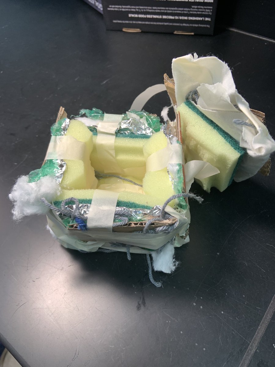 A very succeeding 6th period insulator.  ⁦@reedycreekms⁩ ⁦<a href="/RCMSSachs/">Christine Sachs</a>⁩
