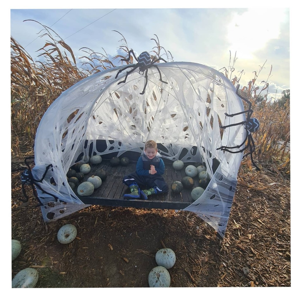 CozzieCorinne's tweet photo. Last weekend 🕷 🎃 @helpinghenri

@rogatepumpkinpatch
#rogatepumpkinpatch #pumpkinpatch #pumpkinpatch #halloween #spider #spiderweb https://t.co/2KNcdQewac https://t.co/LPhtSoNPBZ