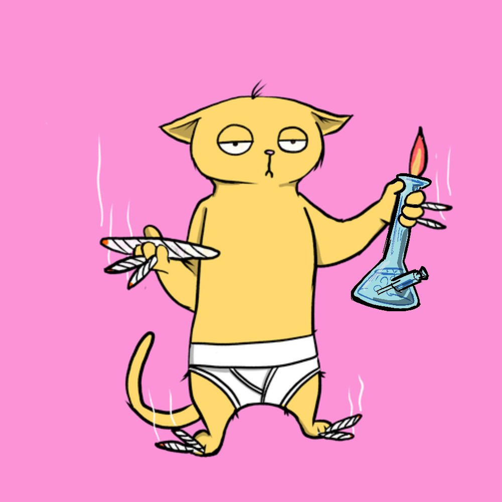 LoBo_301's tweet photo. WTF!!!! @BlazedCats @rug_wtf My cat is so fuckin cool!! https://t.co/fN2iLro749
