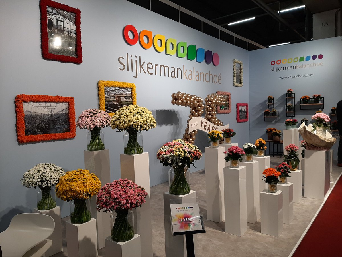 Slijkermankalan's tweet photo. The trade fair has been cleaned up, the pots and plants have been boxed. Nevertheless, we feel the need to take a look back at the stand as a whole. For those who weren't able to come by 😉. See you next time!

#kalanchoe #tradefair #stand @RFHTradeFair https://t.co/oFjliRZOjo