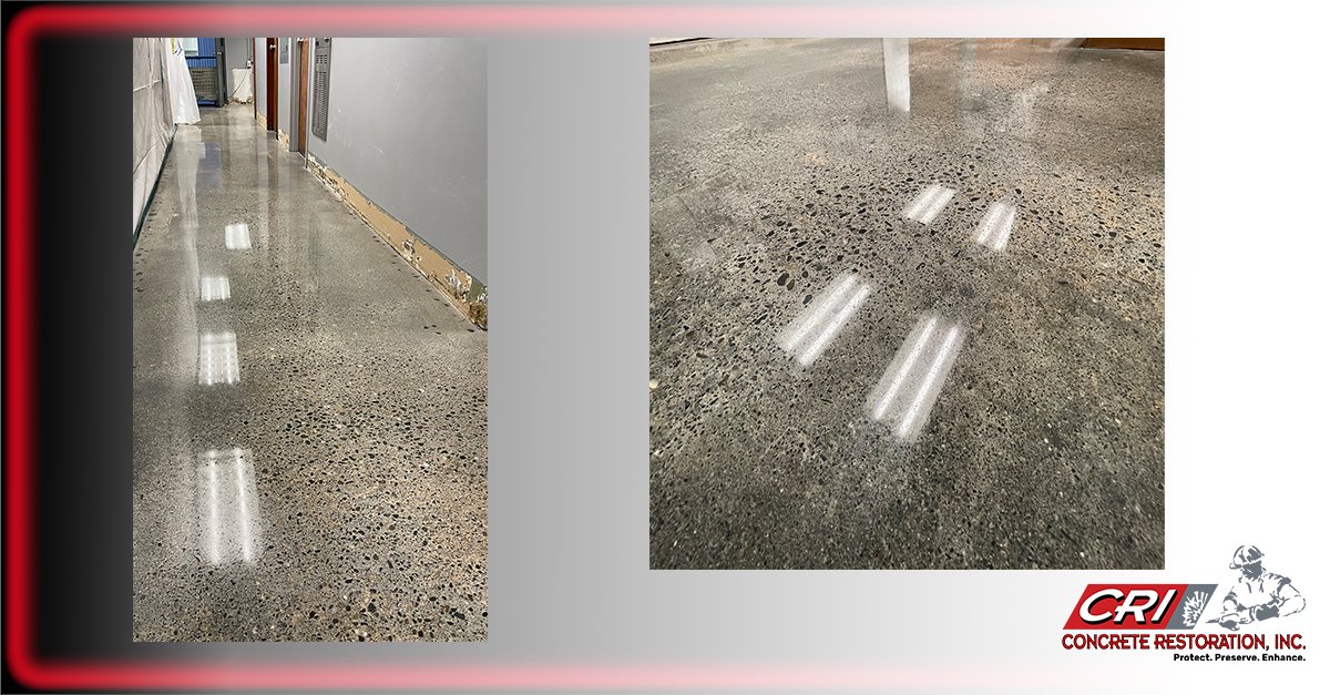 CRISeattle's tweet photo. Our team installed polished concrete in the hallways and break room, to give this office space a fresh look at this Seattle based logistic company. 
#installation #upgrades #polish #concrete #restoration https://t.co/3mYHPHgIn2