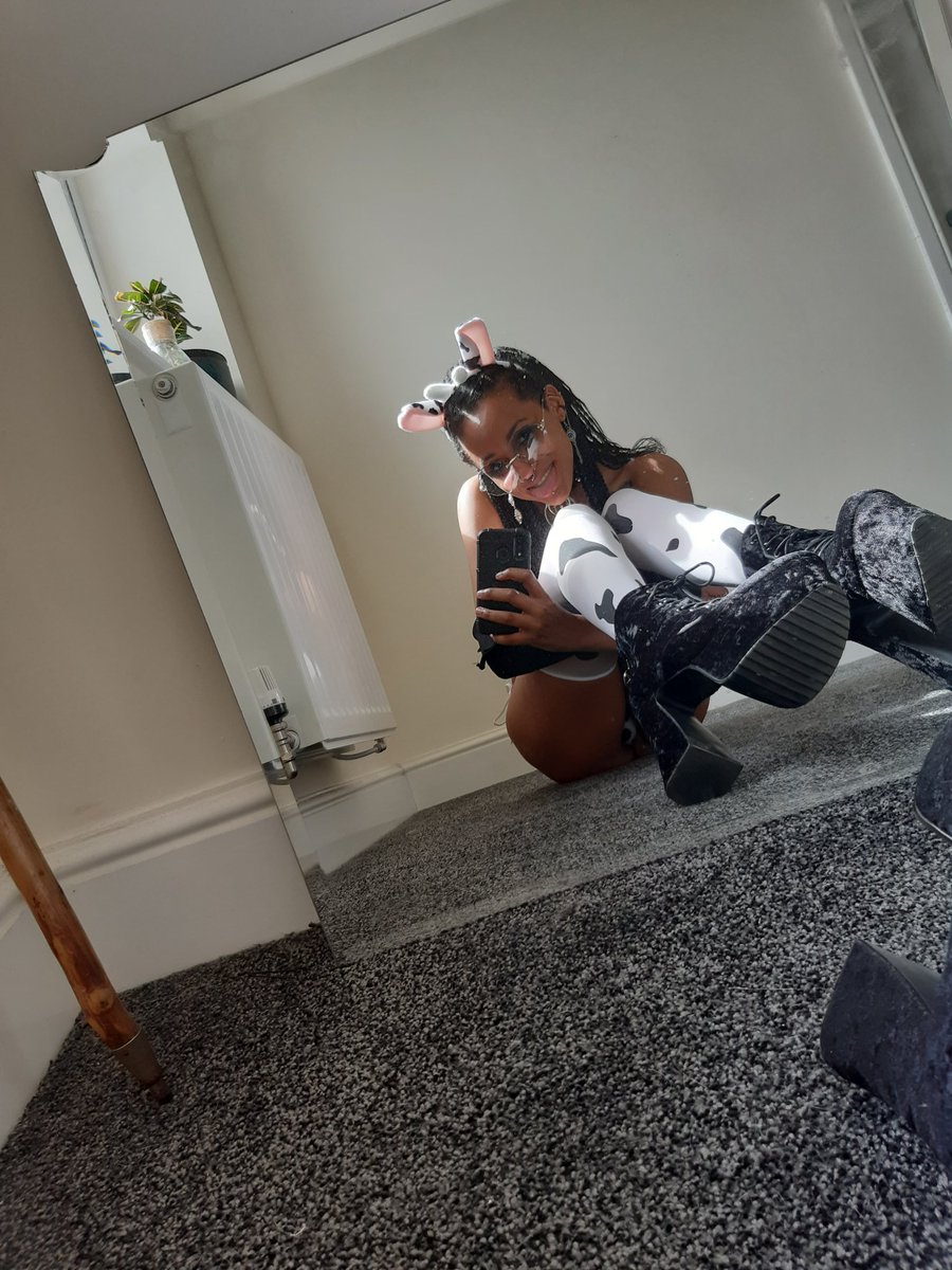 LilSuccuboi's tweet photo. Oh you cheeky cow https://t.co/ahMS16FqwJ