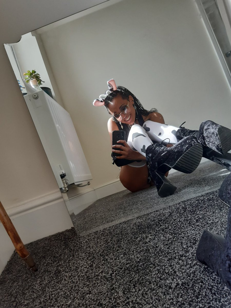 LilSuccuboi's tweet photo. Oh you cheeky cow https://t.co/ahMS16FqwJ