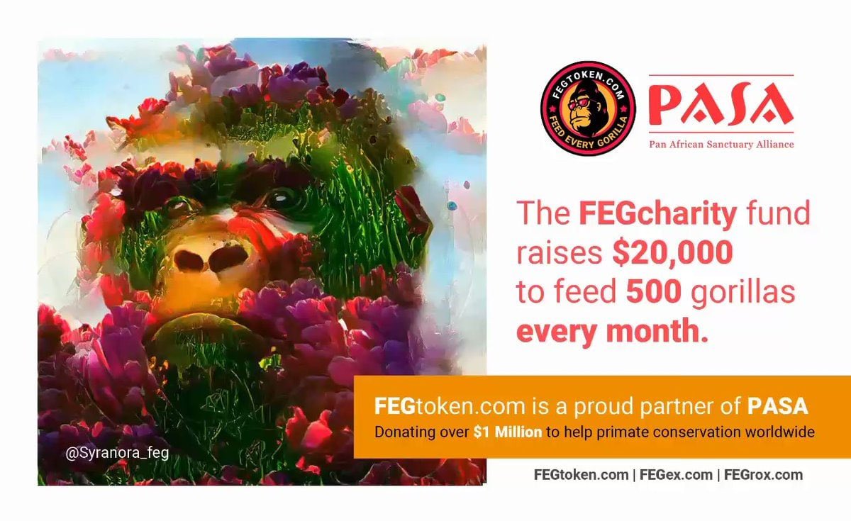 FEG (Feed Every Gorilla) tweet media