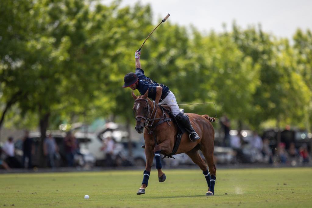 Lovelocks Polo Stud tweet media