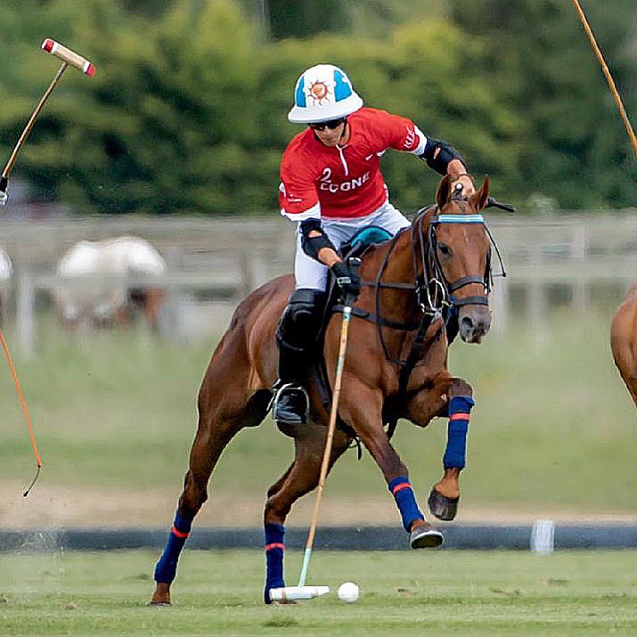 Lovelocks Polo Stud tweet media