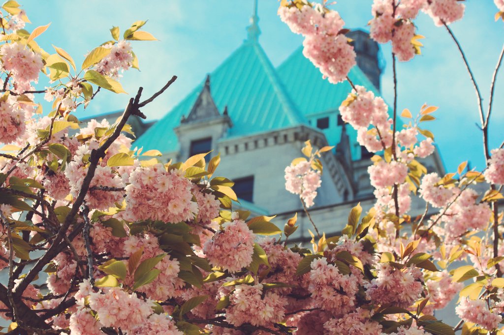 DOC604's tweet photo. Join me at #Downtown #Vancouvers most #historic spot, @FairmontVan #Notch8 tonight for #livemusic and #finedining from 8-11 (a new time). Performing live for #SiegelEntertainment and #Fairmonthotels #davidcappermusic #musicphotography. https://t.co/o5qNu1jYip