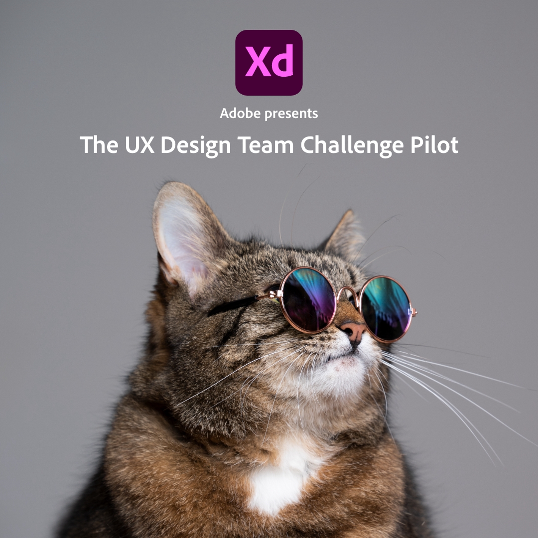 bpa_ed's tweet photo. Did you join the Cool Cat Convention? The presentation from our friends at ADOBE at today's National PD Advisor's conference was so fun and engaging and filled with information about User Experience Design Team Challenge through a live demo of Adobe XD. Thank you, Adobe! https://t.co/UtsmezbP7f