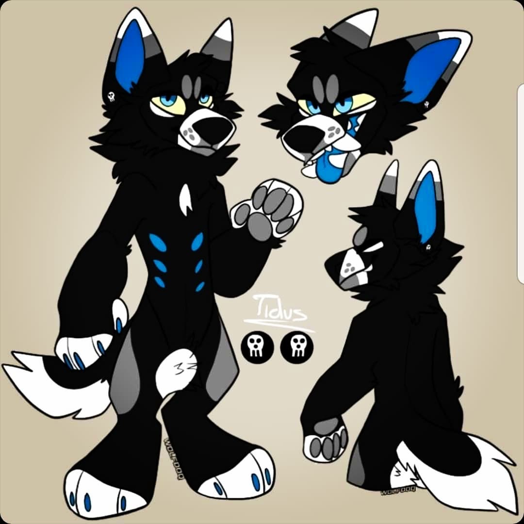 BuppaSpiritWolf's tweet photo. OFFICIAL      BEWARE. 
Please share!
Irl friends please disregard. 

IF YOU'RE IN THE NIAGARA FALLS TORONTO AREA AND SELLING TO OR DOING A TRADE WITH SOMEONE BY THE NAME ISABELLA DONOVAN // SLEEPYWUFF ON INSTAGRAM, SHE WILL SCAM YOU. 
Not even sure this'll gain traction but I'll https://t.co/oAgLx0JxF4