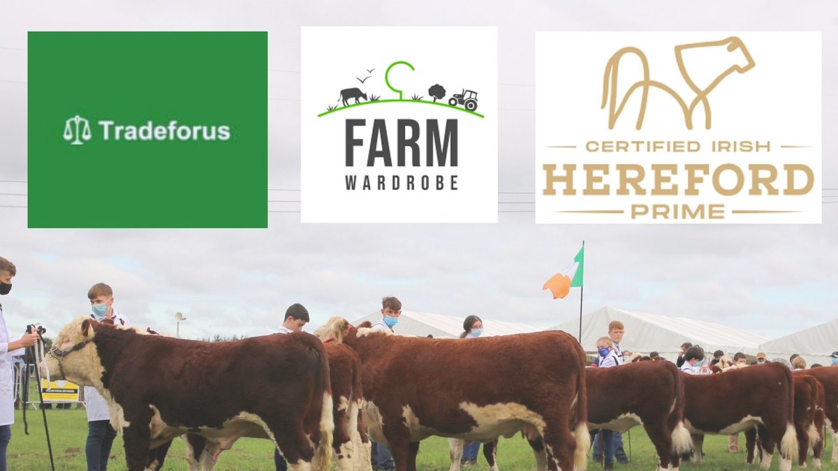 𝗡𝗲𝘅𝘁 𝗚𝗲𝗻 𝗛𝗲𝗿𝗲𝗳𝗼𝗿𝗱𝘀 are delighted &amp; greatful to have sponsorship for the Youth Competition on Friday 19th November in GVM Tullamore from three very successful agri based companies;
<a href="/I_Herefordprime/">Irish Hereford Prime</a> 
<a href="/FarmWardrobe/">FarmWardrobe</a> 
<a href="/tradeforus/">Tradeforus</a> 
Full info at irishhereford.com