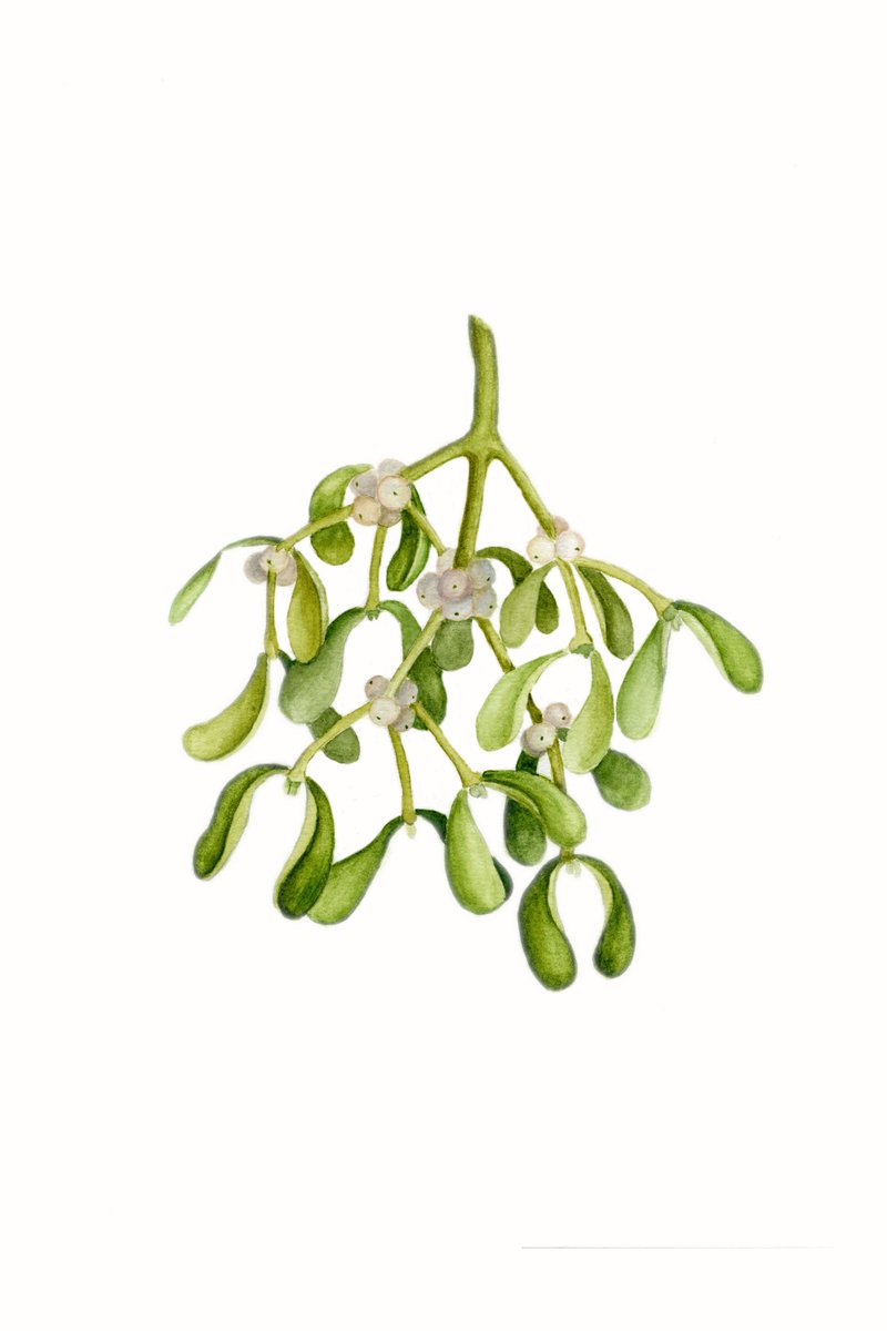 Mistletoe printable image, Christmas art decor,  kiss me