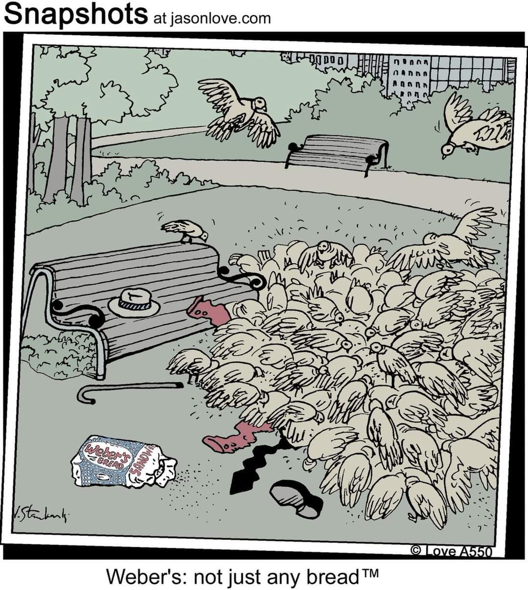 Jason Love tweet media