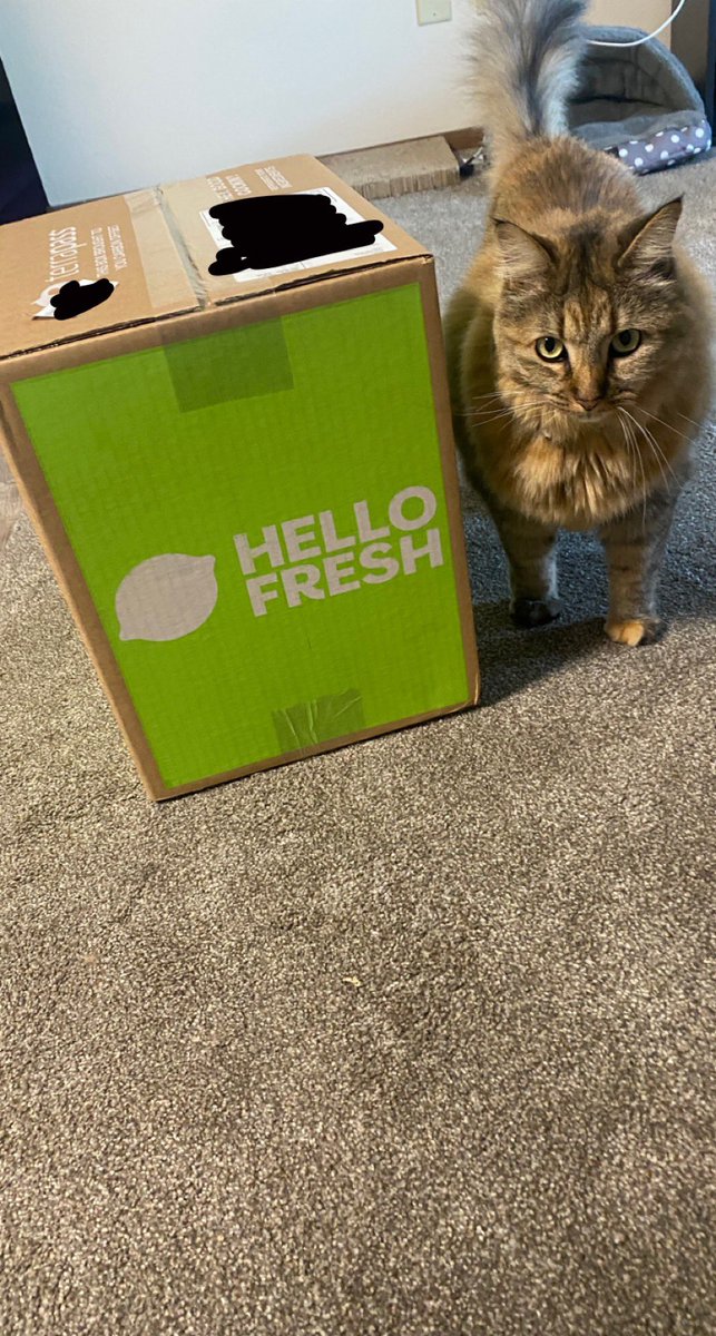 Thank you <a href="/HelloFresh/">HelloFresh US</a> for the meals! Also, thank you <a href="/LosPollosTV/">Los 🍇</a> for the free meals with my order!! #lospollostv #hellofresh #ad
