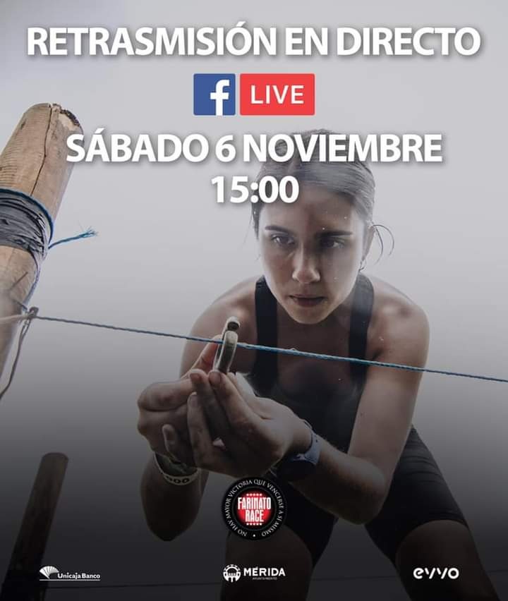 🎙️Contador de Km 🎤 tweet media