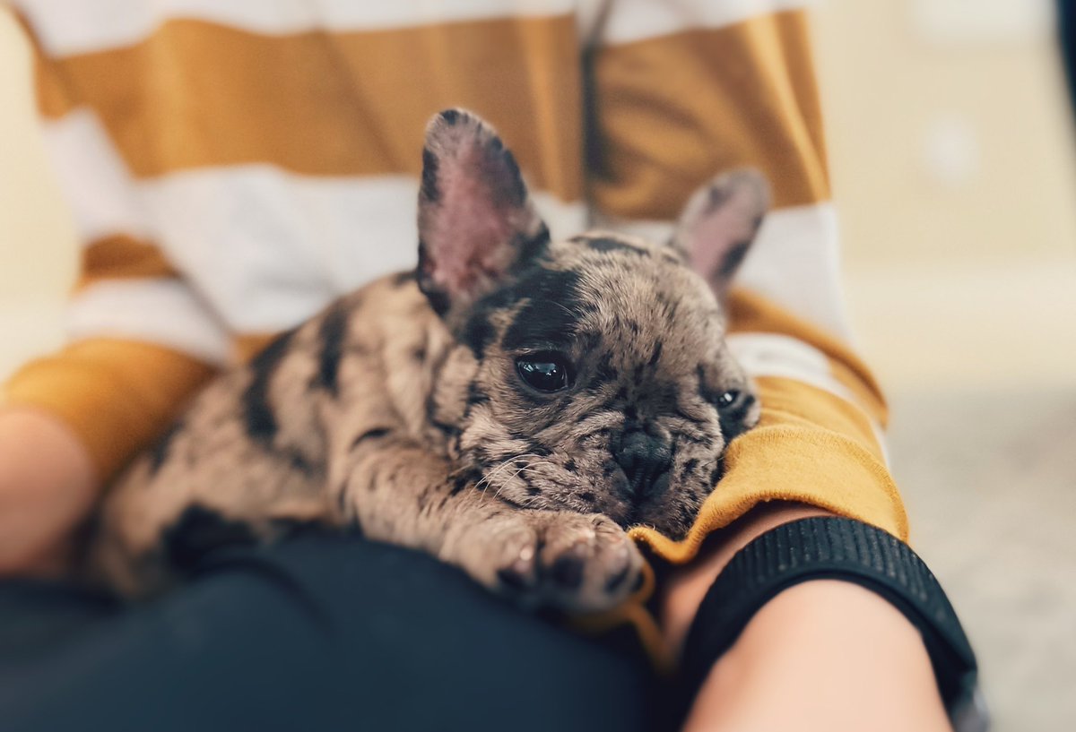 The newest member of our family. Still figuring out her name.