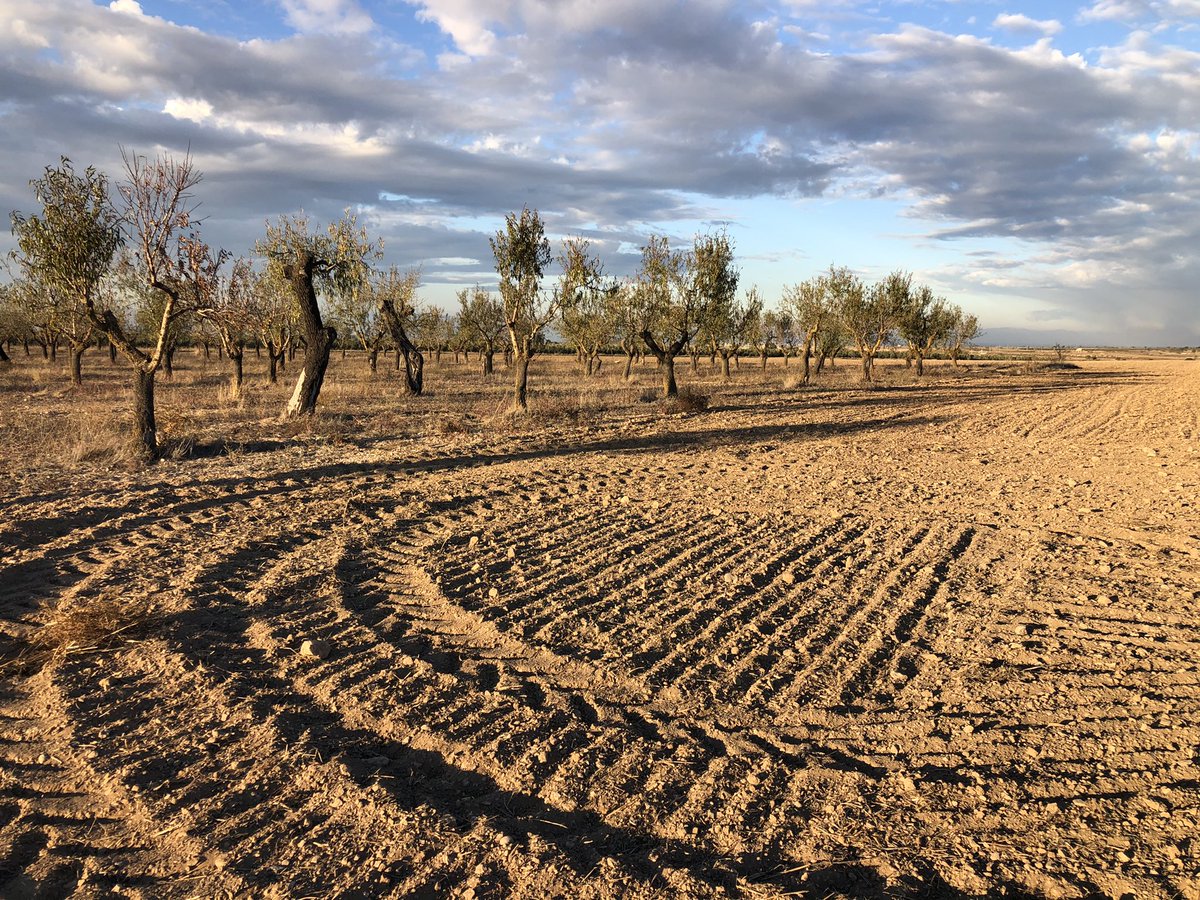 losbessons's tweet photo. Poc valorem la feina dels pagesos i com ens cuiden el “nostre” jardí 👨🌾🌾#llaurar #rostoll #restoll #secà #pagès #lesGarrigues https://t.co/Ab4E7WHpOh