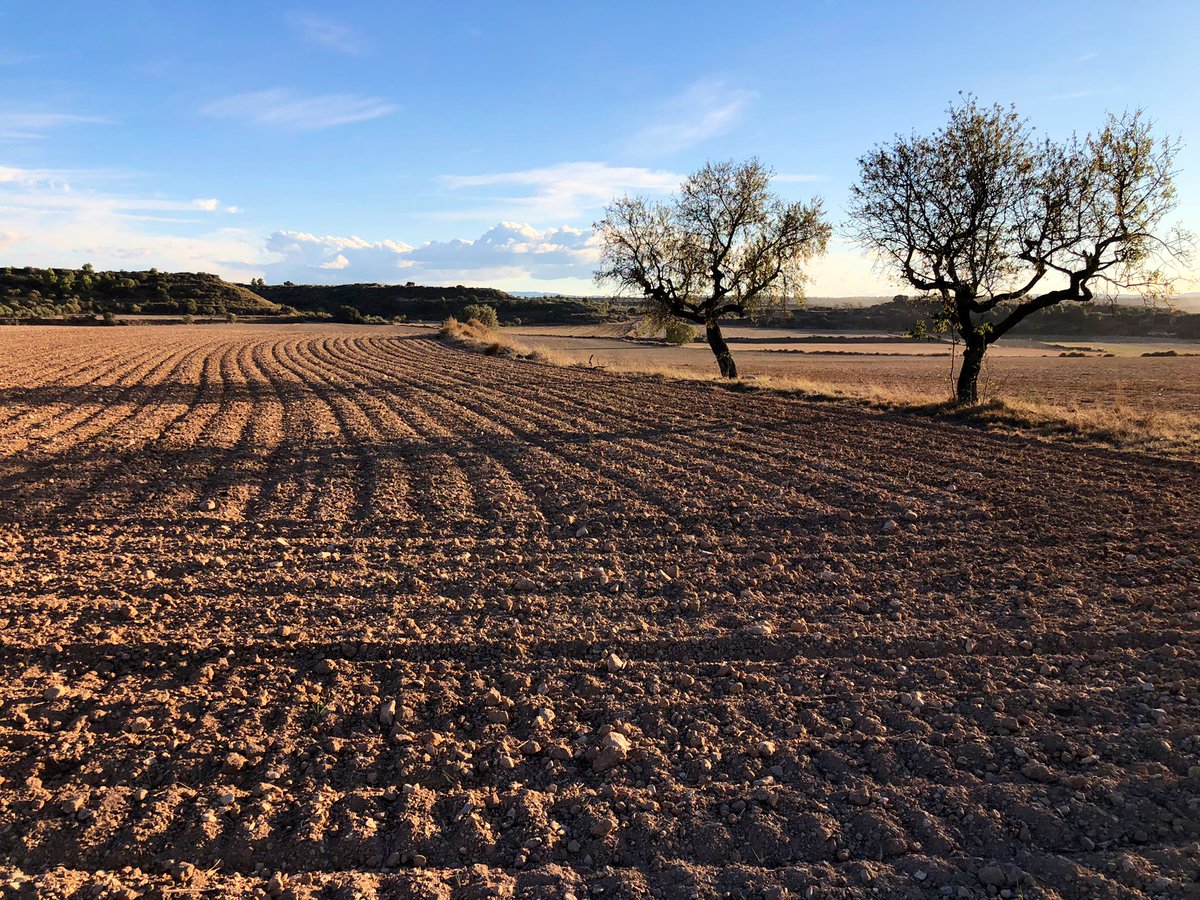 losbessons's tweet photo. Poc valorem la feina dels pagesos i com ens cuiden el “nostre” jardí 👨🌾🌾#llaurar #rostoll #restoll #secà #pagès #lesGarrigues https://t.co/Ab4E7WHpOh