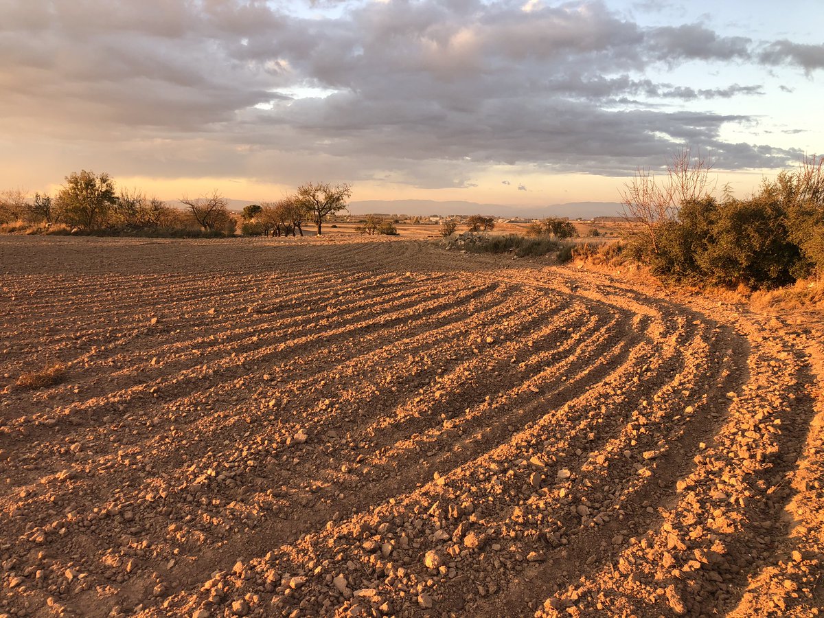 losbessons's tweet photo. Poc valorem la feina dels pagesos i com ens cuiden el “nostre” jardí 👨🌾🌾#llaurar #rostoll #restoll #secà #pagès #lesGarrigues https://t.co/Ab4E7WHpOh