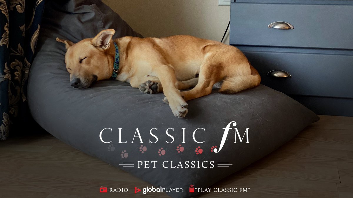 ClassicFM's tweet photo. If the fireworks of #BonfireNight are making your pets feel anxious, tell your smart speaker to “play Classic FM”

We've got a special show full of calming classical music, just for them. 🐶🐱🎶 https://t.co/w0fo3I9wk5