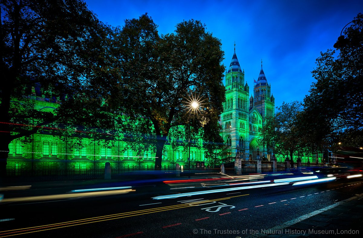 Natural History Museum tweet media