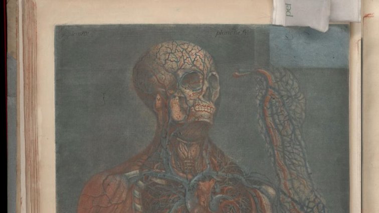 OslerLibrary's tweet photo. Standing 89cm tall, this book is a must see, but until you can visit in person, you can enjoy the digitized version! https://t.co/UUaUtDwvzy
Gautier D'Agoty, Exposition Anatomique, 1759.
#NewlyDigitized #histmed https://t.co/8EVFcXhREj