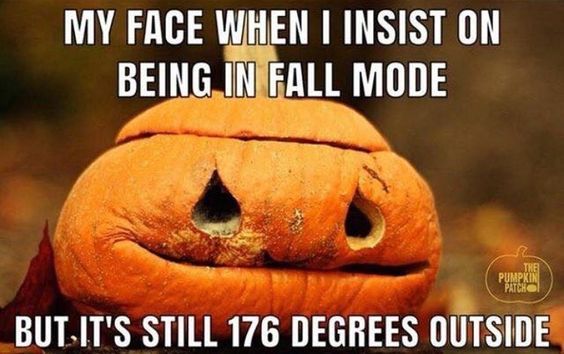 ChaosOnPaper's tweet photo. So true. Do they make pumpkin spiced icees?
#WheresFall https://t.co/xUGyygjUK0
