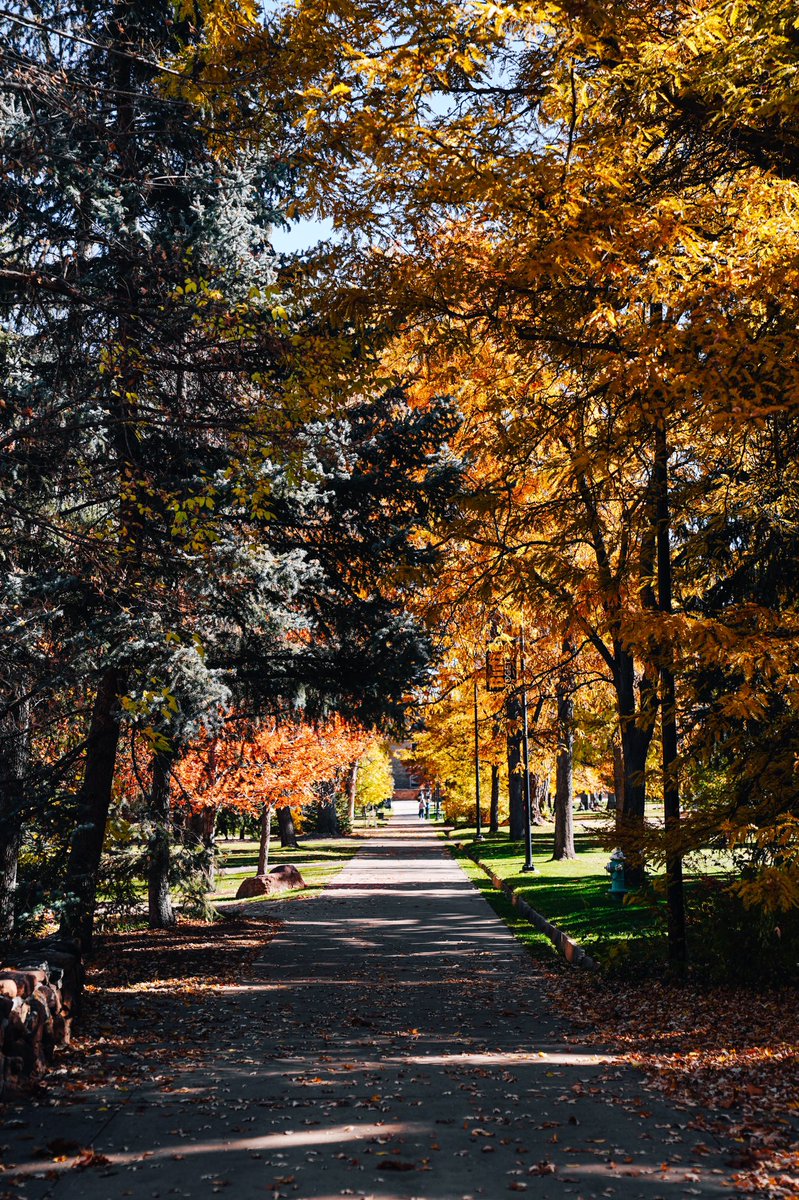 CUBuffsWBB's tweet photo. Fall in Boulder 😍🍂🍁 https://t.co/aTFTNcP0cF