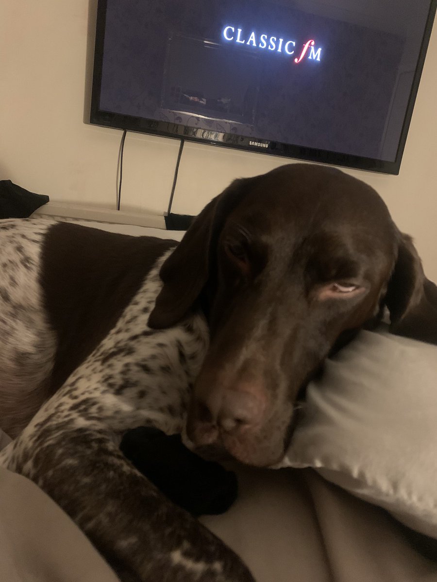 HollyClary103's tweet photo. @ClassicFM  I think #petclassics is working 🤣 https://t.co/SpooE4JuOR