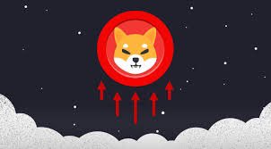 SHIBAKING2022's tweet photo. @shibainuart @hackernoon @jayderenthal #SHIBARMY
@ShibaSwap 💣💣🌏🚀🌙👑🚀🚀
@ShytoshiKusama 
@cz_binance🚀🚀🚀🚀🚀
#SHIBatoken 
#shiba_swap 🚀🚀🚀🚀
#shiba 💥💥💥💥
#shiba_swap 🚀🚀🚀🚀 
#shibatoken 💥💥💥💥
#ShibaArmy 🚀🚀🚀🚀
#shibainutoken💥💥💥
#ryoshi🌏💣🚀🚀🚀🚀 
#bone🚀🚀🚀🚀 https://t.co/3ESg3GY7JI