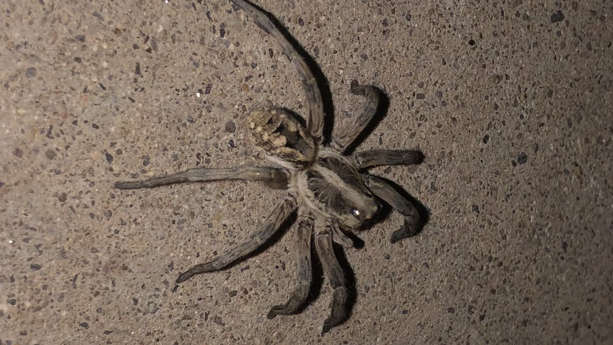 Paul Durrant tweet media