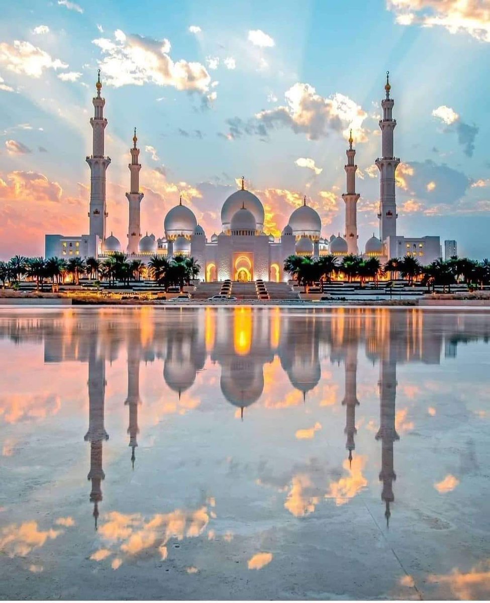 MDLiton4012997's tweet photo. Have a wonderful day 💛💛💛💛
#NaturePhotography
#birds #wildlife
#mydubai #shaikhzayedroad #dubaitag #mydubai #visitdubai #dxb #mydxb #dubai #uae #wonderful_places #dubailife #dubaiblogger #dubailifestyle #الامارات #AbuDhabiGP #placestovisitindubai #travelde. https://t.co/eqWFYog3FH
