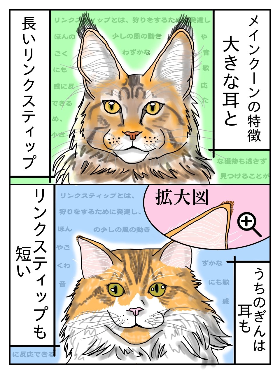モフモフ お暇な方 1話目から読んで下さい 無言フォロー歓迎 リツイート いいね よろしくお願いします 猫 ねこ 猫好き 猫好きさんと繋がりたい 猫のいる幸せ 猫のいる暮らし 自作漫画 猫漫画 動物漫画 メインクーン イラスト 漫画
