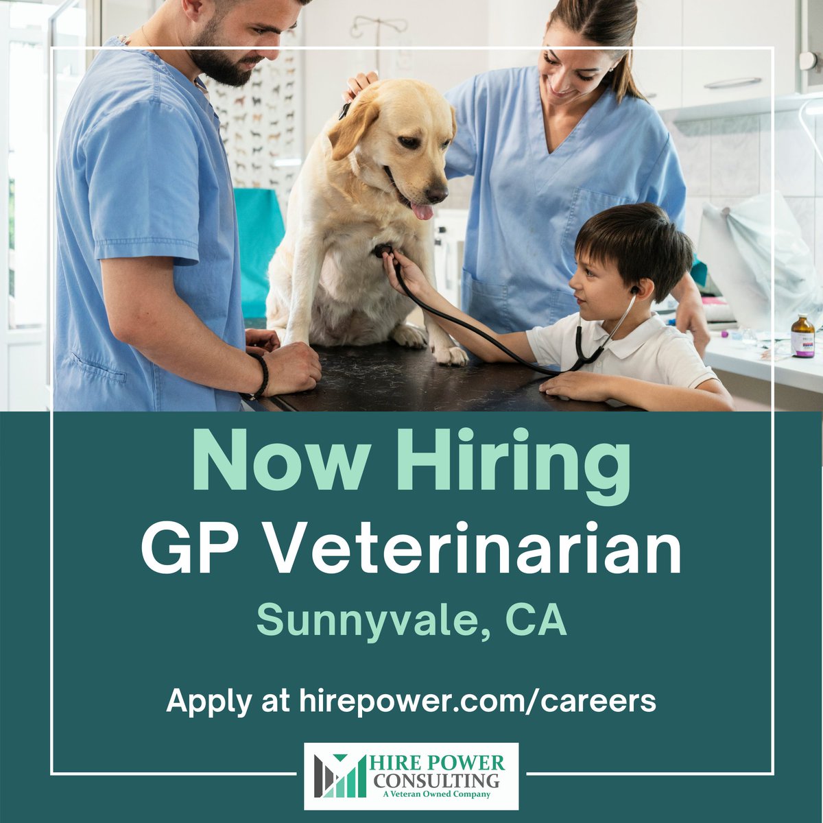TeamHirePower's tweet photo. If you're a #veterinarian seeking a new opportunity in California, Hire Power Consulting has a great position for you in Sunnyvale.

Visit https://t.co/6mgauvXgTn to apply.

#hirepower #hirepowerjobs #vetmed #veterinaryjobs https://t.co/MpYRuOa9Dy