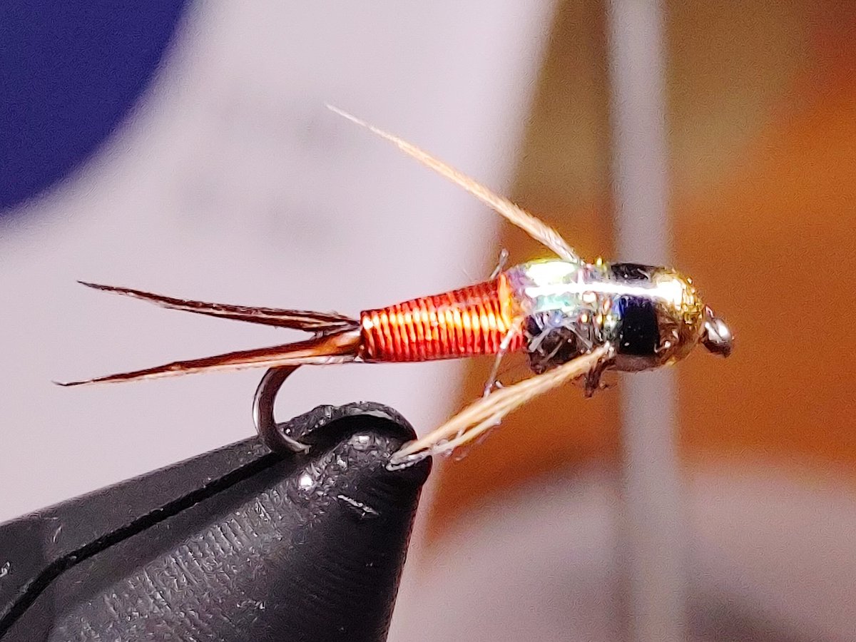 Shouldbgolfng's tweet photo. Nice to spend some time at the tying bench today #flytying #flytyingaddict #dryfly #nymph #parachuteadams #BWO #copperjohn #fish #fishing #fishinglife #catchandrelease #trout #troutbums #coloradoangler #coloradofishing #wildtrout #whitingfarms https://t.co/16T5SReevm