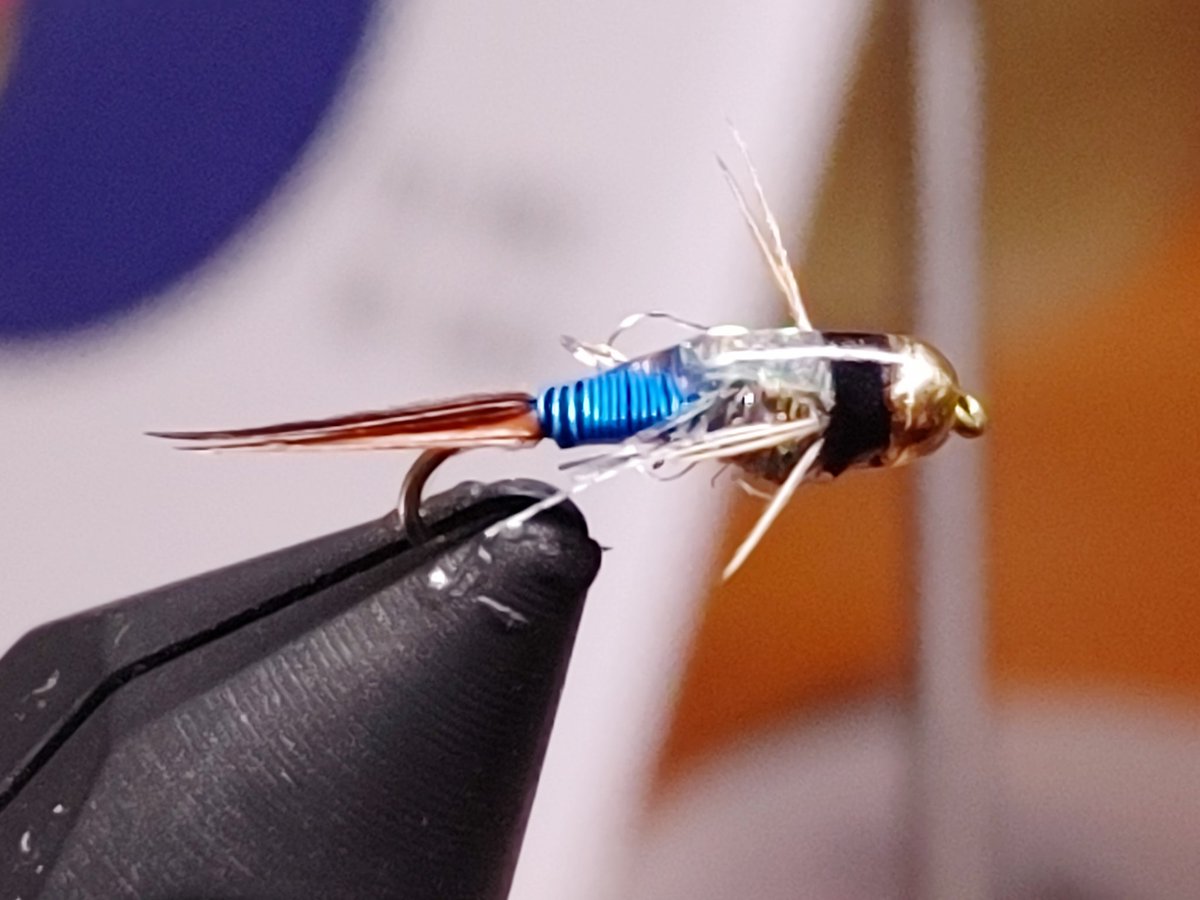 Shouldbgolfng's tweet photo. Nice to spend some time at the tying bench today #flytying #flytyingaddict #dryfly #nymph #parachuteadams #BWO #copperjohn #fish #fishing #fishinglife #catchandrelease #trout #troutbums #coloradoangler #coloradofishing #wildtrout #whitingfarms https://t.co/16T5SReevm