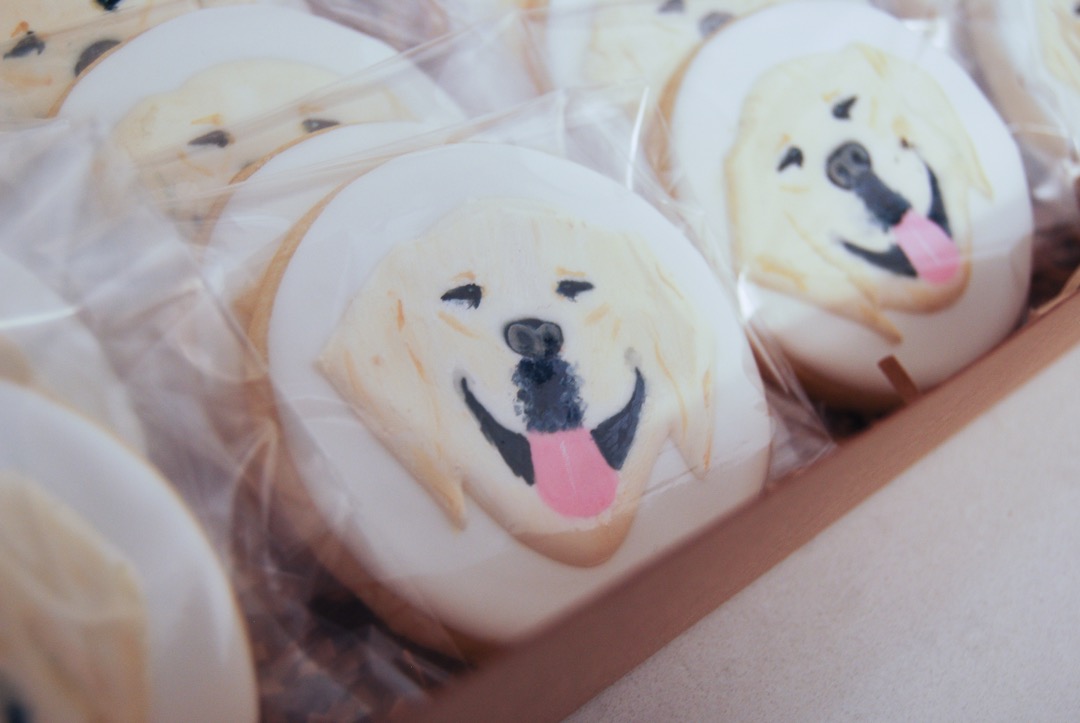 bcguidedogs's tweet photo. Thank you to our partners at the #BCPFFA and #BurnFund for hosting us as we celebrated these two very special dogs and the important work they do for those in need. (Also, how 'paw'some are these Benji cookies??)
#VICDServiceDogs #OSIDogs #MentalWellness #BCandAlbertaGuideDogs https://t.co/PGmrFAiqOS