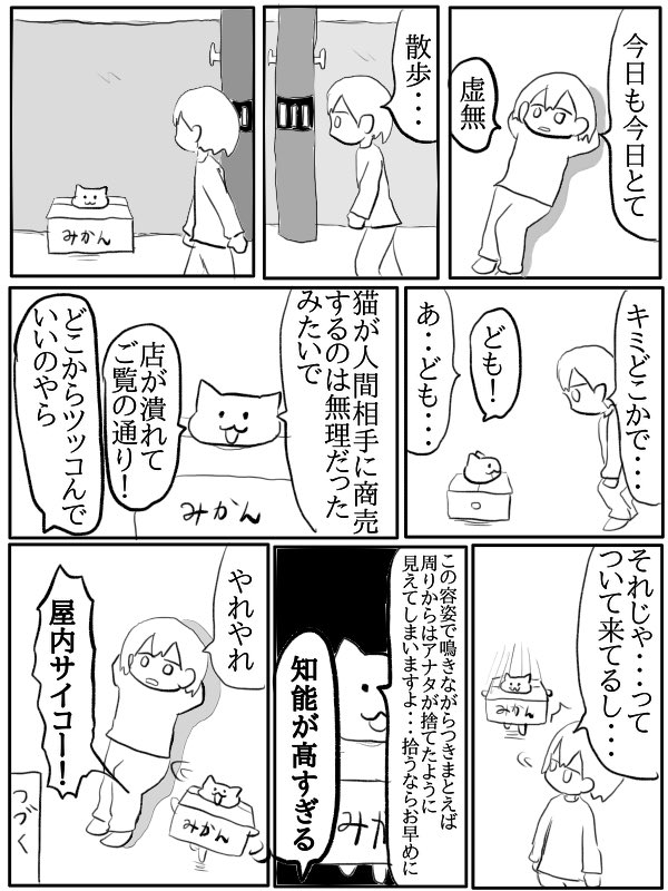 虚無とハコ猫の漫画 1 