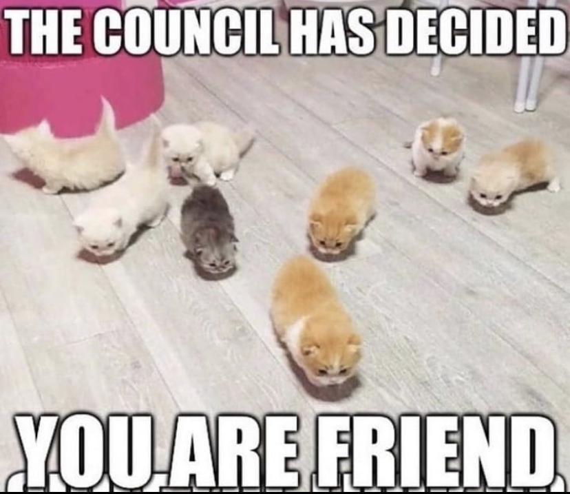 WholesomeMeme's tweet photo. https://t.co/MmD1s7ESXG