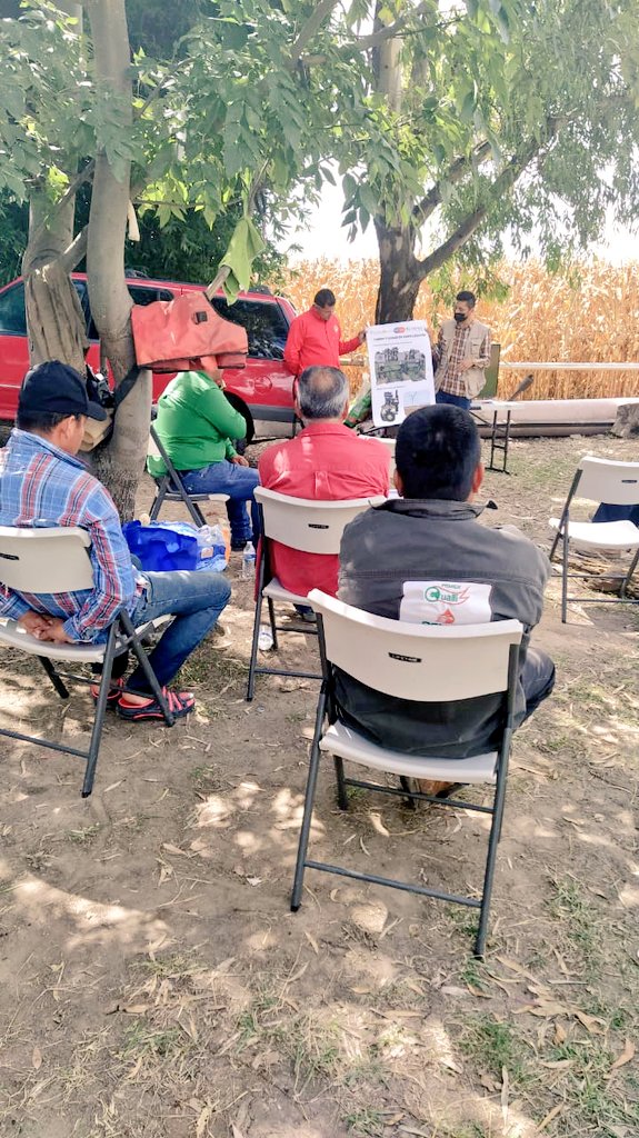 Fco_Hgo_Lopez's tweet photo. La @SDAyR_GTO y @CIMMYT a través del programa @MasAgroGto da capacitacion y recorrido de campo en Benito Juárez y La Sandia a productores de @municipio_leon mostrando estrategias y resultados de intervención. 

¡Por una agricultura sustentable!
@Paulo_Banuelos @AleGutierrez_mx https://t.co/ySKIQCpXbP