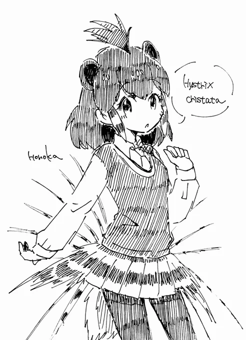 けものフレンズ3で来るかなぁ〜って思ってなかなか来ないフレンズ、私の中で堂々の第一位はっ!!
「アフリカタテガミヤマアラシ」!!! 