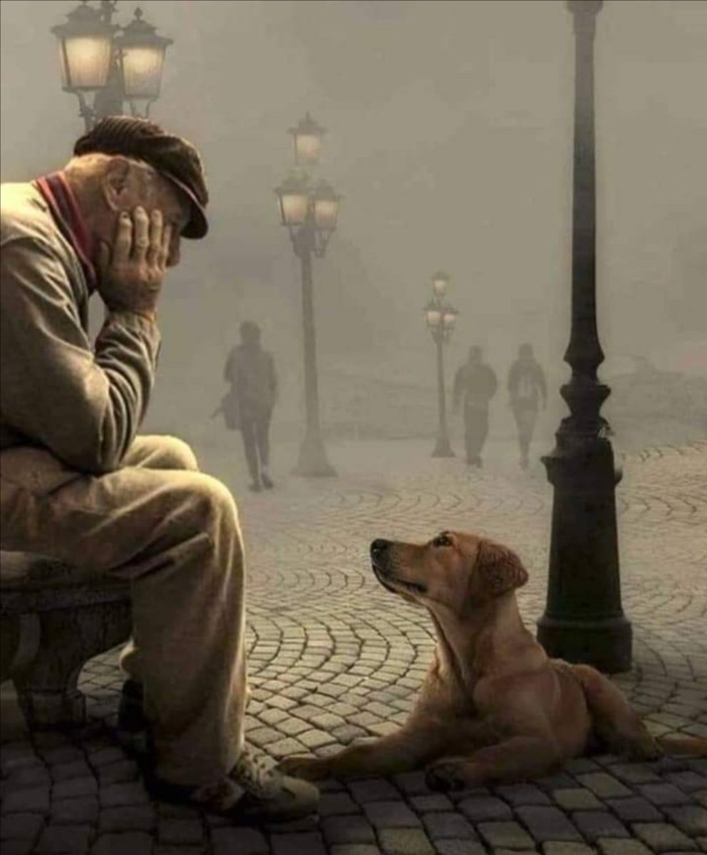 Urszula❤️ 🇵🇱 #takdlaCPK #prezydentNawrocki tweet media