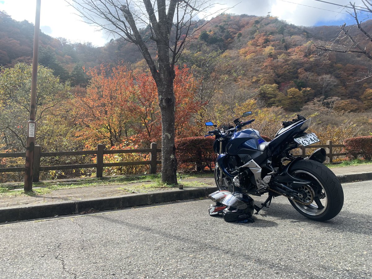 嫁と紅葉行ってきた！
