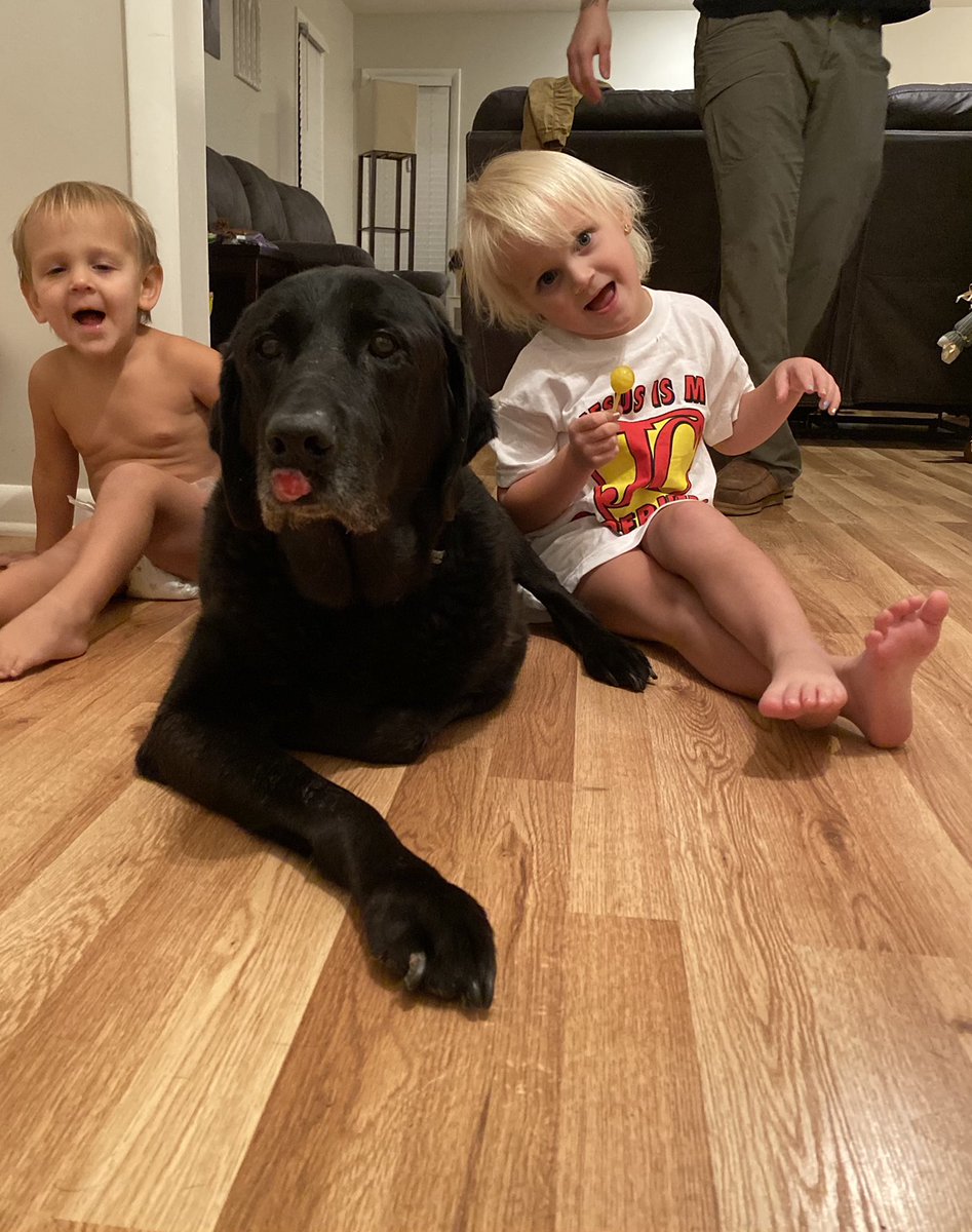 reneeweddle's tweet photo. The goodest boy! RIP. I love you, A. https://t.co/CWENLn9JeO