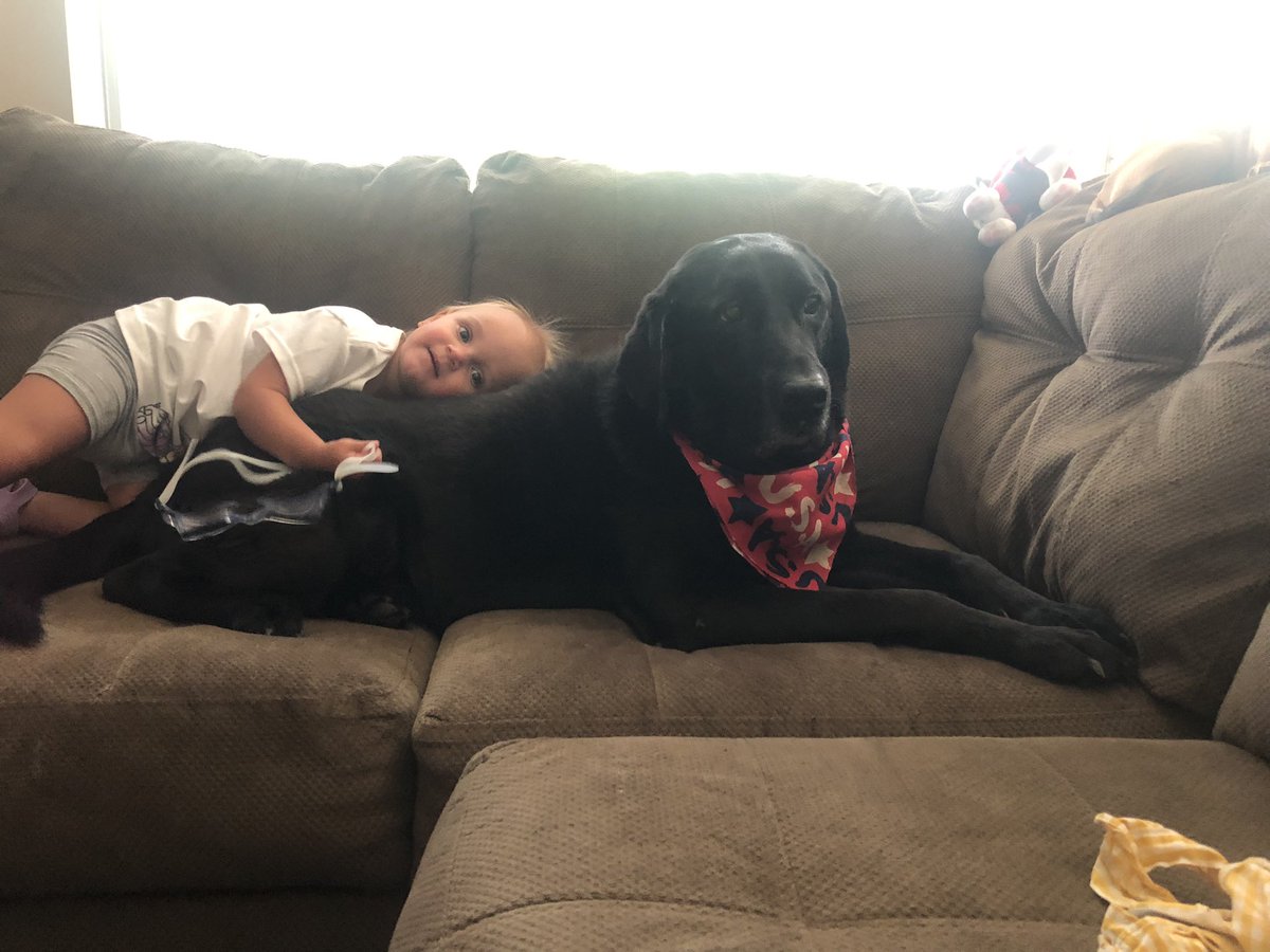 reneeweddle's tweet photo. The goodest boy! RIP. I love you, A. https://t.co/CWENLn9JeO