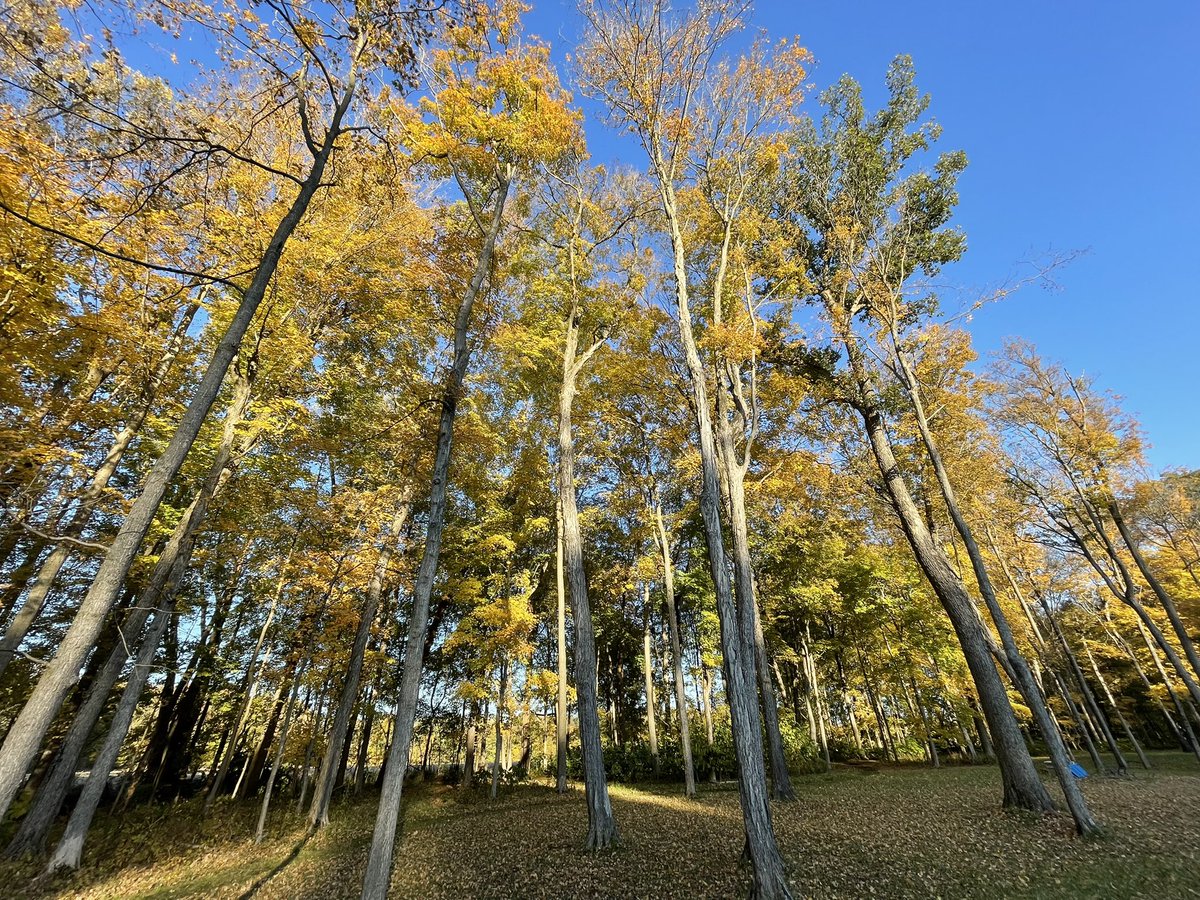 ccmarcom's tweet photo. I exercised without noticing this evening. 😉 🍂 #getoutside #getoutsideandexplore https://t.co/SJi9XZSSA4