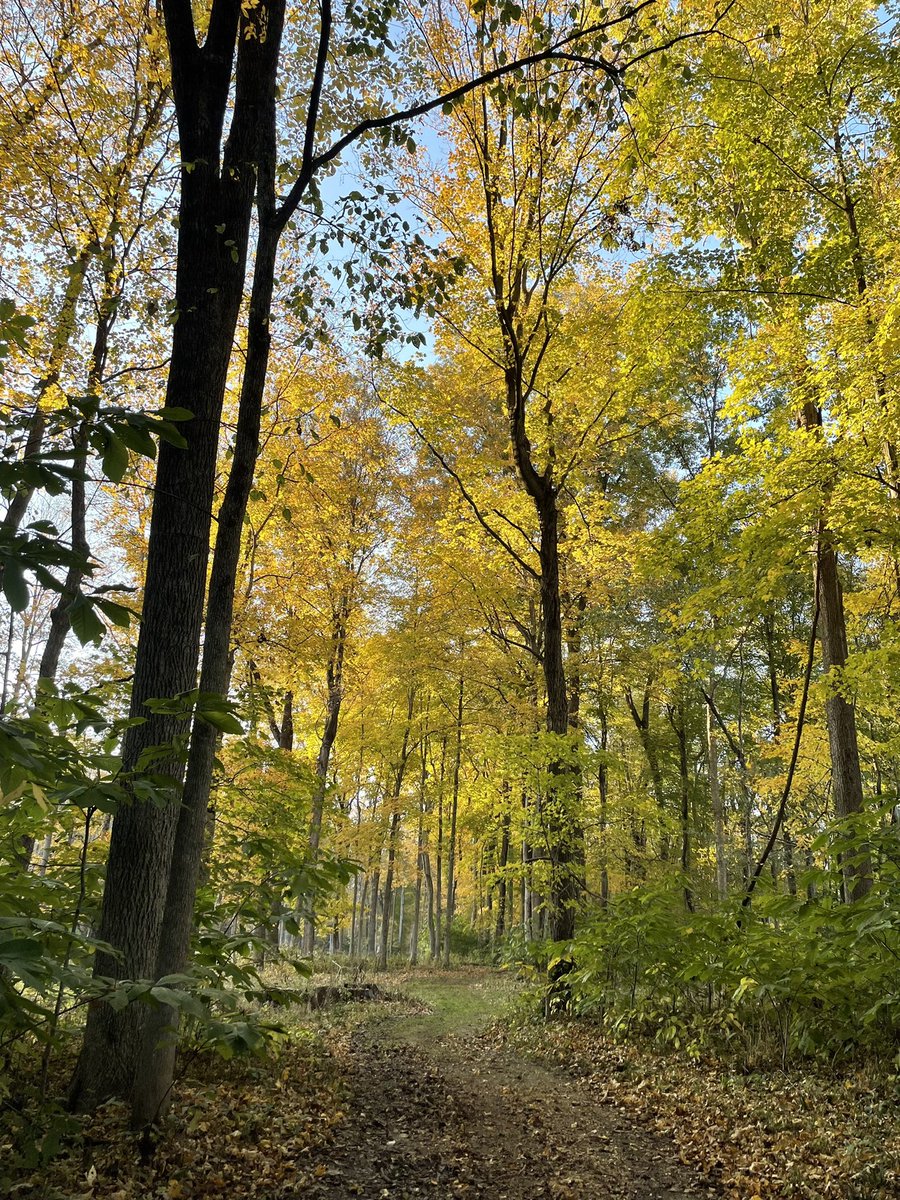 ccmarcom's tweet photo. I exercised without noticing this evening. 😉 🍂 #getoutside #getoutsideandexplore https://t.co/SJi9XZSSA4