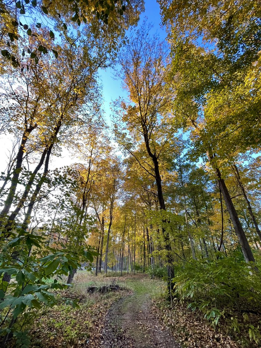ccmarcom's tweet photo. I exercised without noticing this evening. 😉 🍂 #getoutside #getoutsideandexplore https://t.co/SJi9XZSSA4